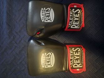 Cleto reyes 14oz bag gloves