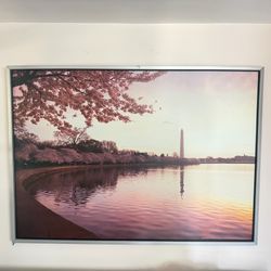 Cherry Blossoms Tidal Basin Huge Photo