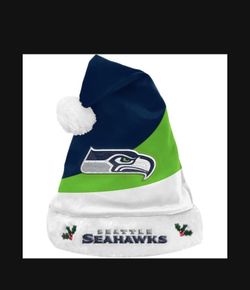 $7 Seahawks Christmas Hat