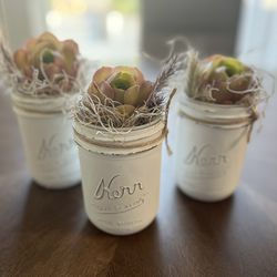 Succulents Gifts 