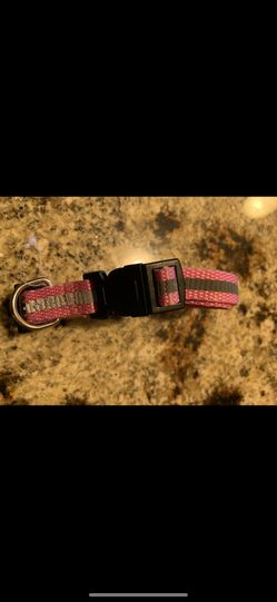 New pink small collar pet