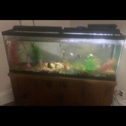Fish Tank W Stand