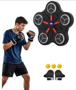 Bruce & Shark Music Boxing Game Machine, LED Punching Pad for Home Gym, Wall-Mount Rhythm Boxing System for Teen Boys, 3 Training Modes