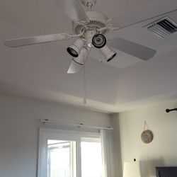 Ceiling Fan