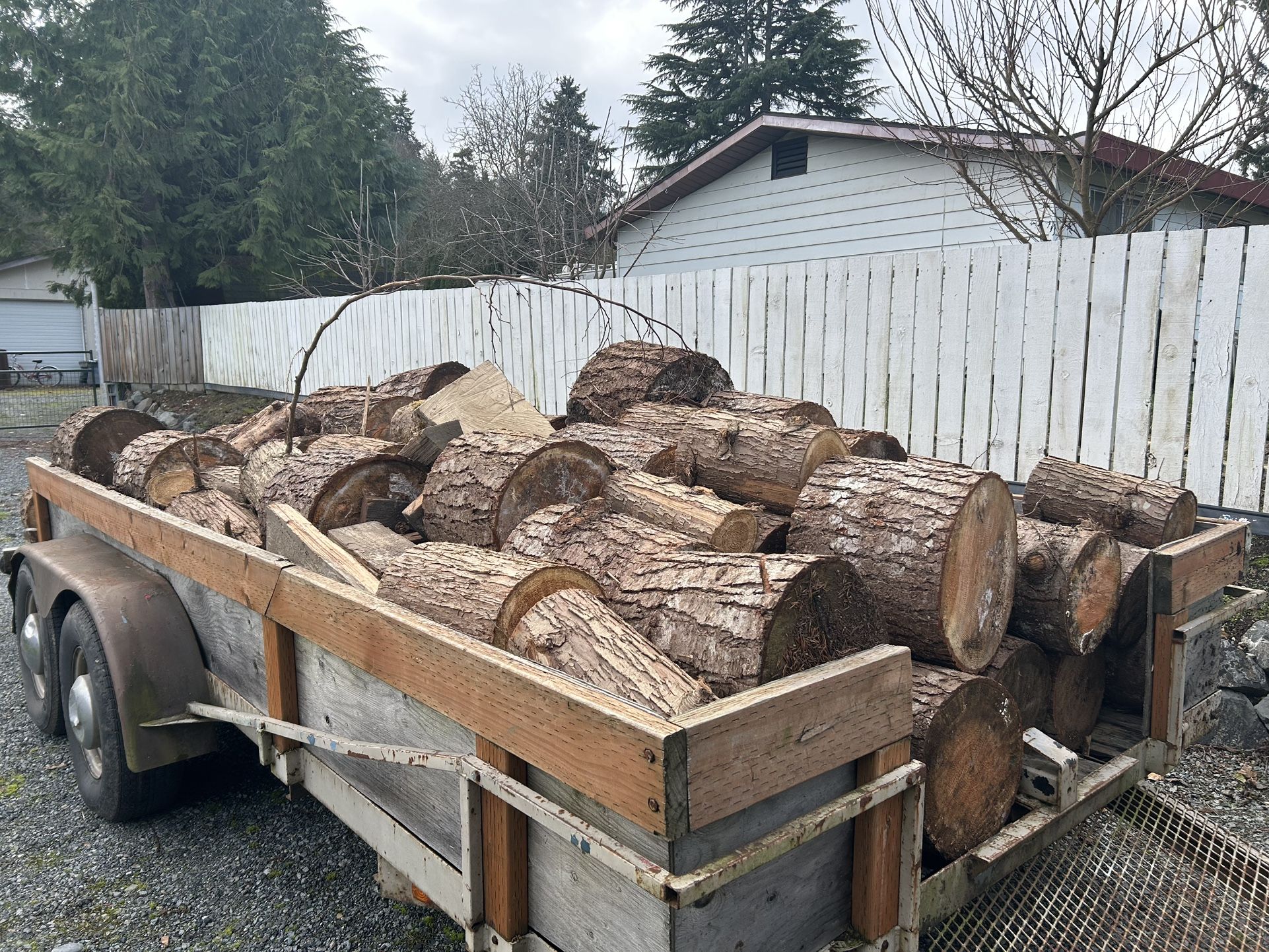 Seasoned Cedar Rounds