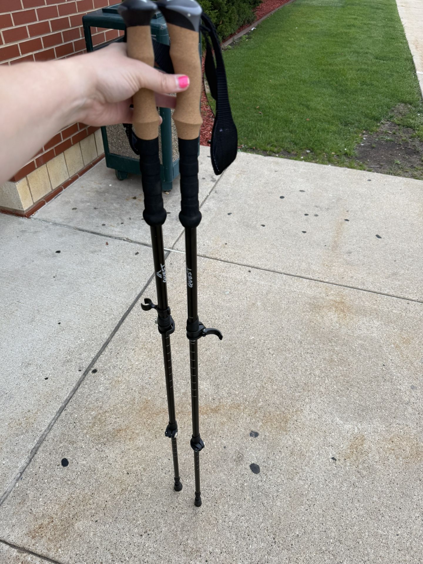 Quest Walking Sticks