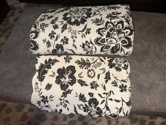 Mainstays Floral Scallop Comforter Set in Cream & Black Queen