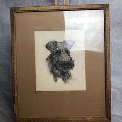 Vintage Scottish Terrier Drawing, Framed With Glass And Wire 16x19”