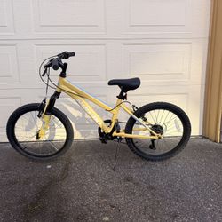 Nishiki Pueblo 20 Mountain Bike For Kids  $150