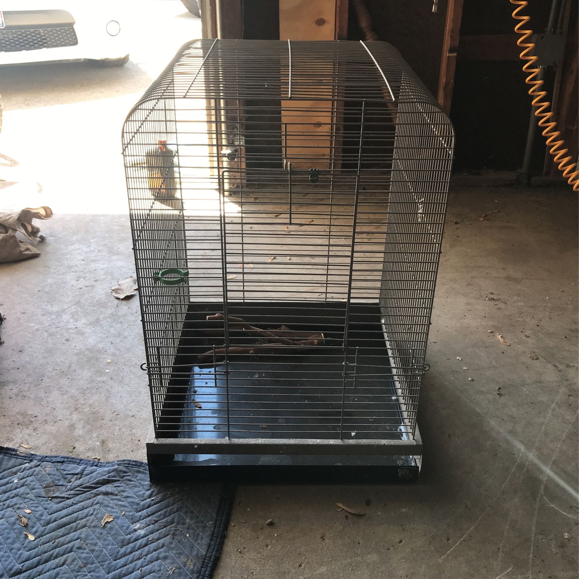 Bird Cage