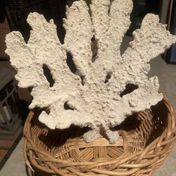 Real Giant Natural Dried Coral  For Aquarium Or Display
