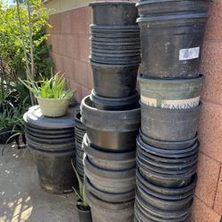 Whoa Really Nice! Great First Impression Plant Buckets Available