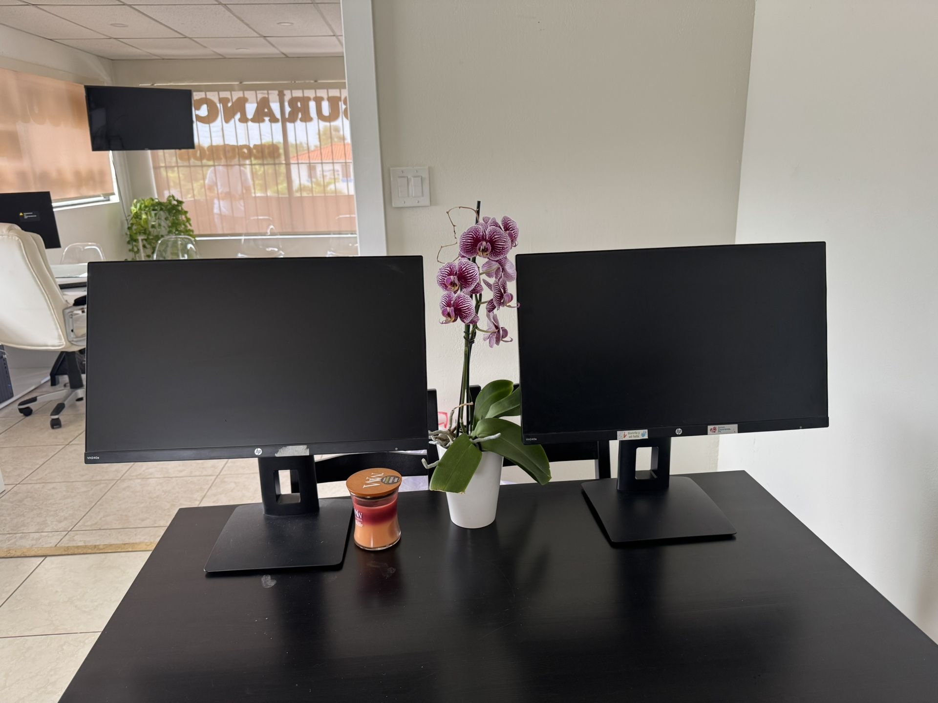 Dell Monitor 