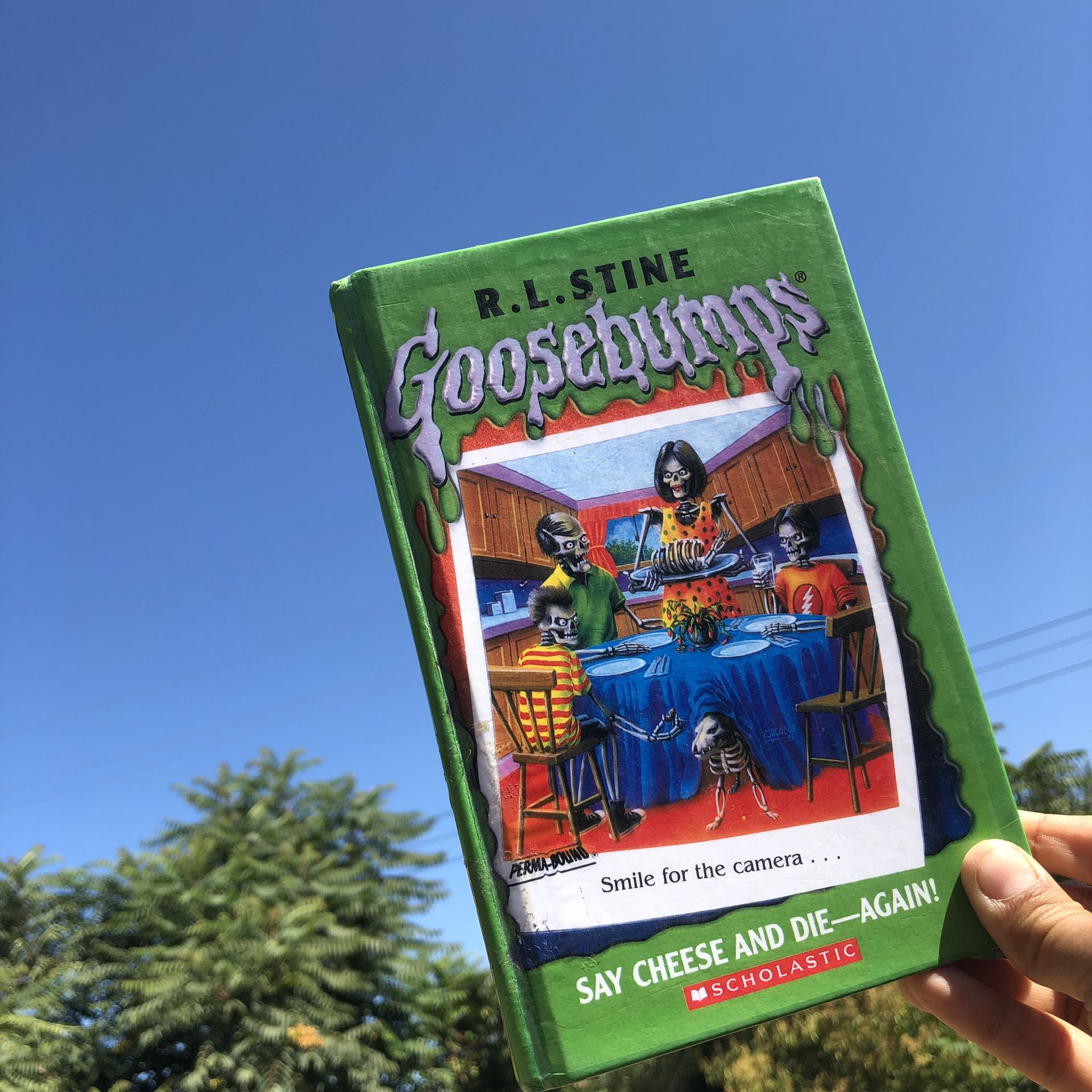 R L Stine S Goosebumps Say Cheese And Die Again For Sale In Fair Oaks Ca Offerup