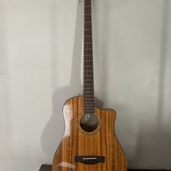 Fender Victor Bailey Signature Acoustic Electric Bass