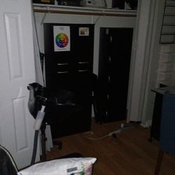 Todo Gratis... Solo Vengan Y Busquenlo