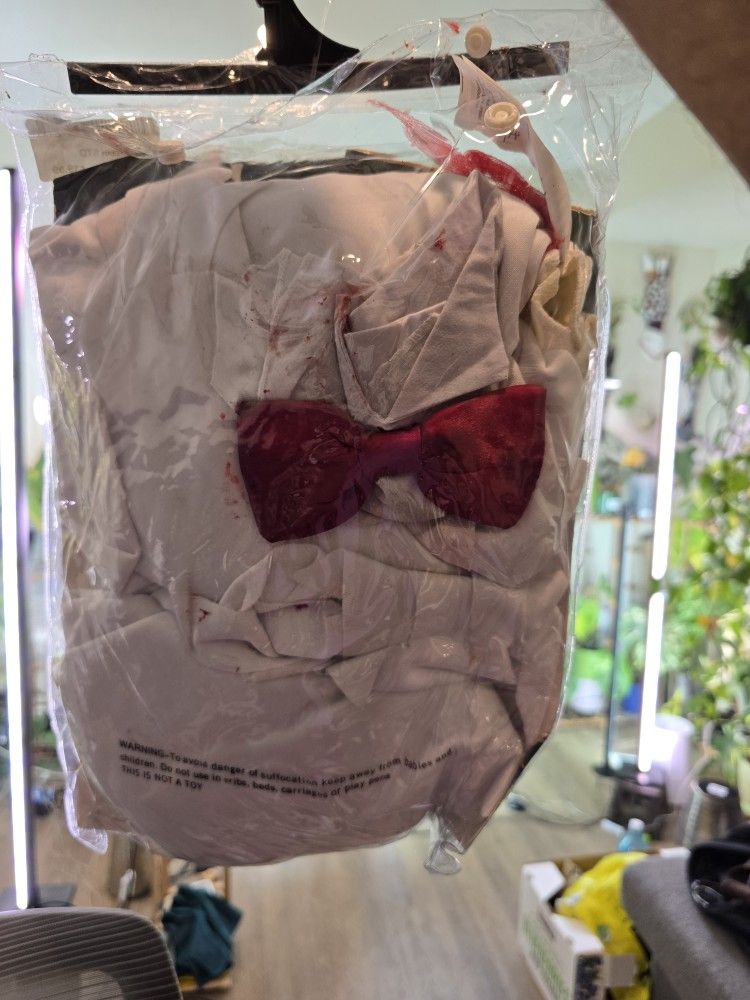 Halloween Pair Costume