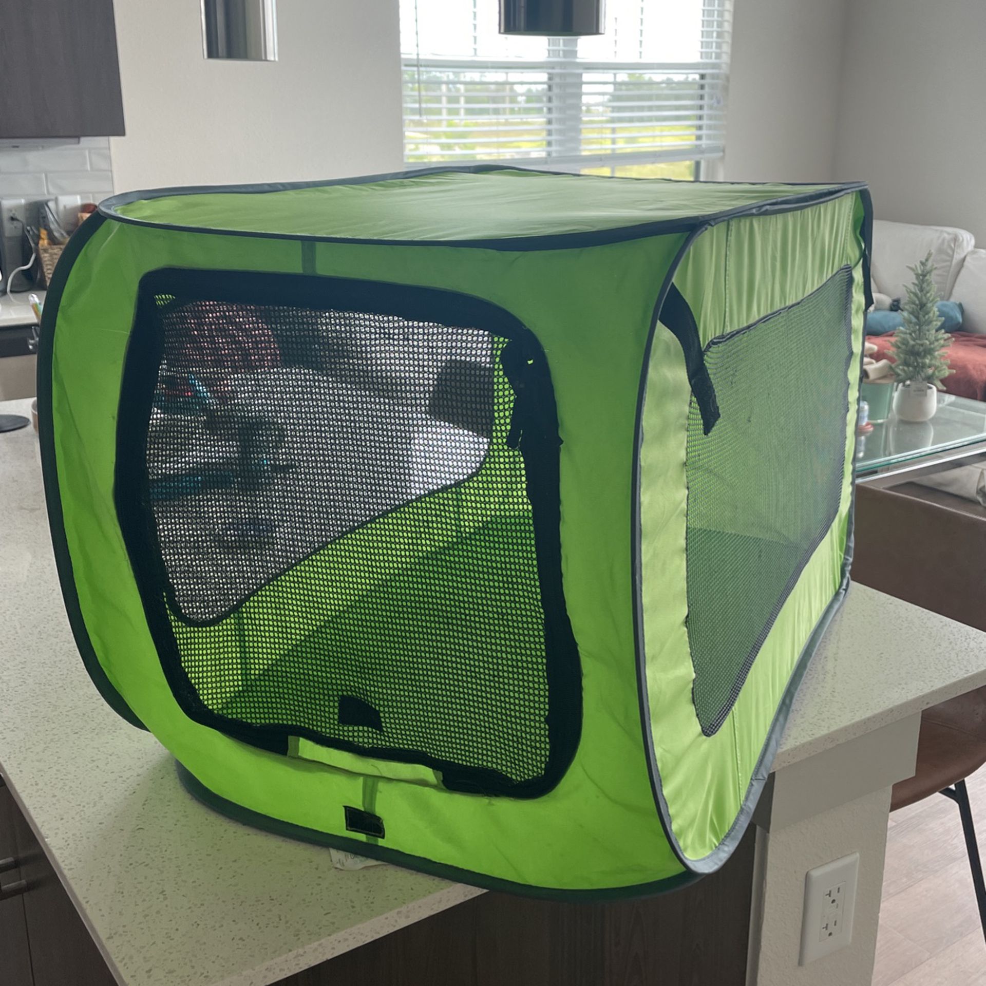 Foldable Dog Crate, Green 
