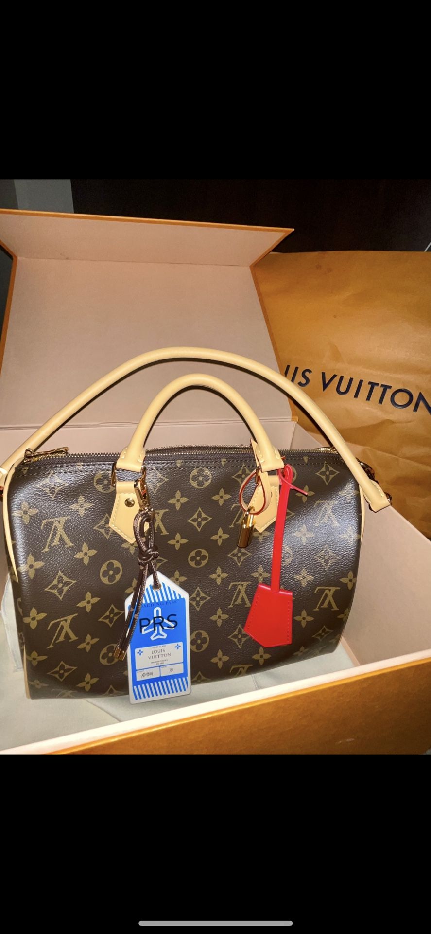 Louis Vuitton Speedy Soft Crafty 