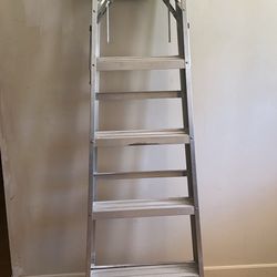 Werner 6ft Ladder