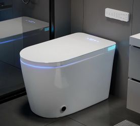 Smart toilet