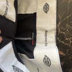 Dickies Shorts