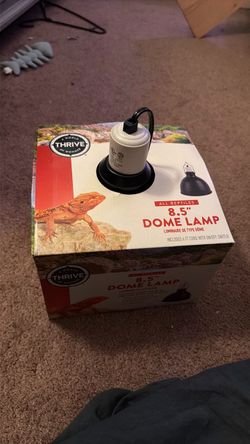 Reptile Dome Lamp
