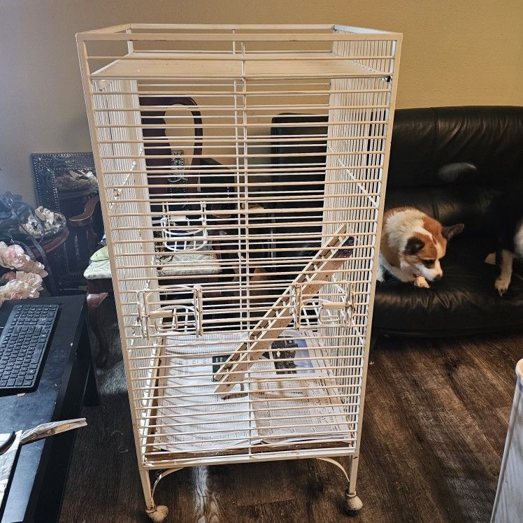Small To Medium Parrot Cage