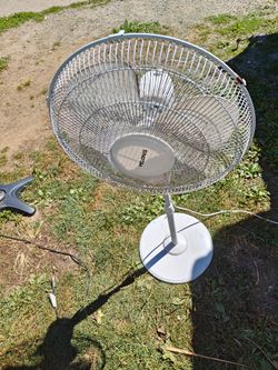 Fan