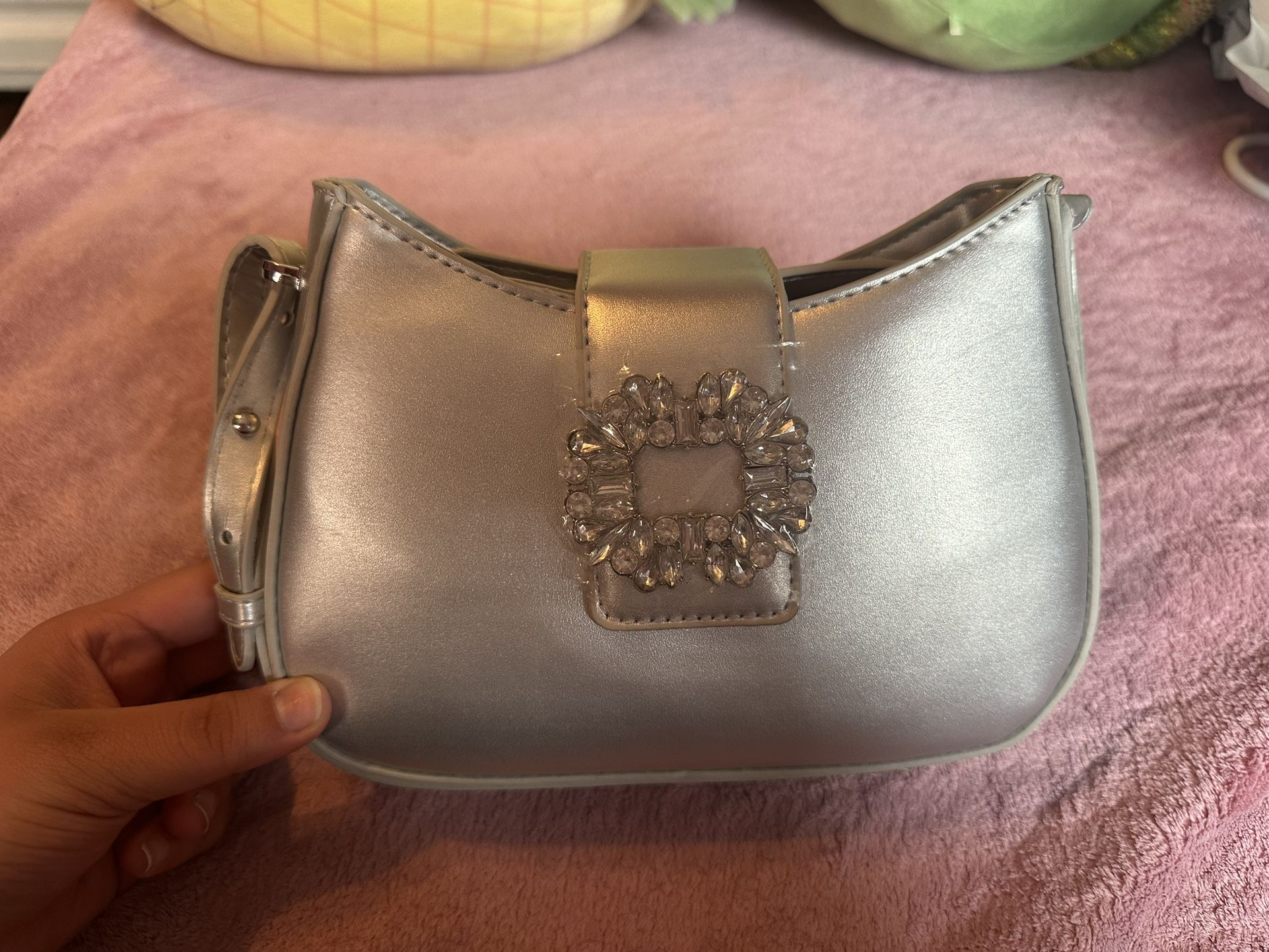 Silver Purse