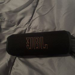 JBL Flip 6 Speaker