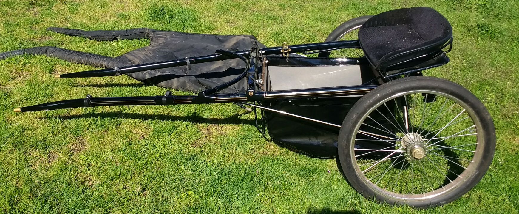 Jerald miniature horse show cart