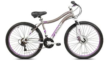 Adult bikes