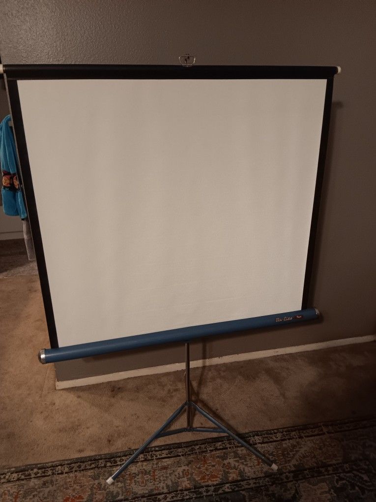 Da-lite 40×40 Projection Screen