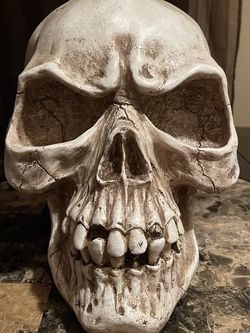 SKULL “PIGGY BANK “