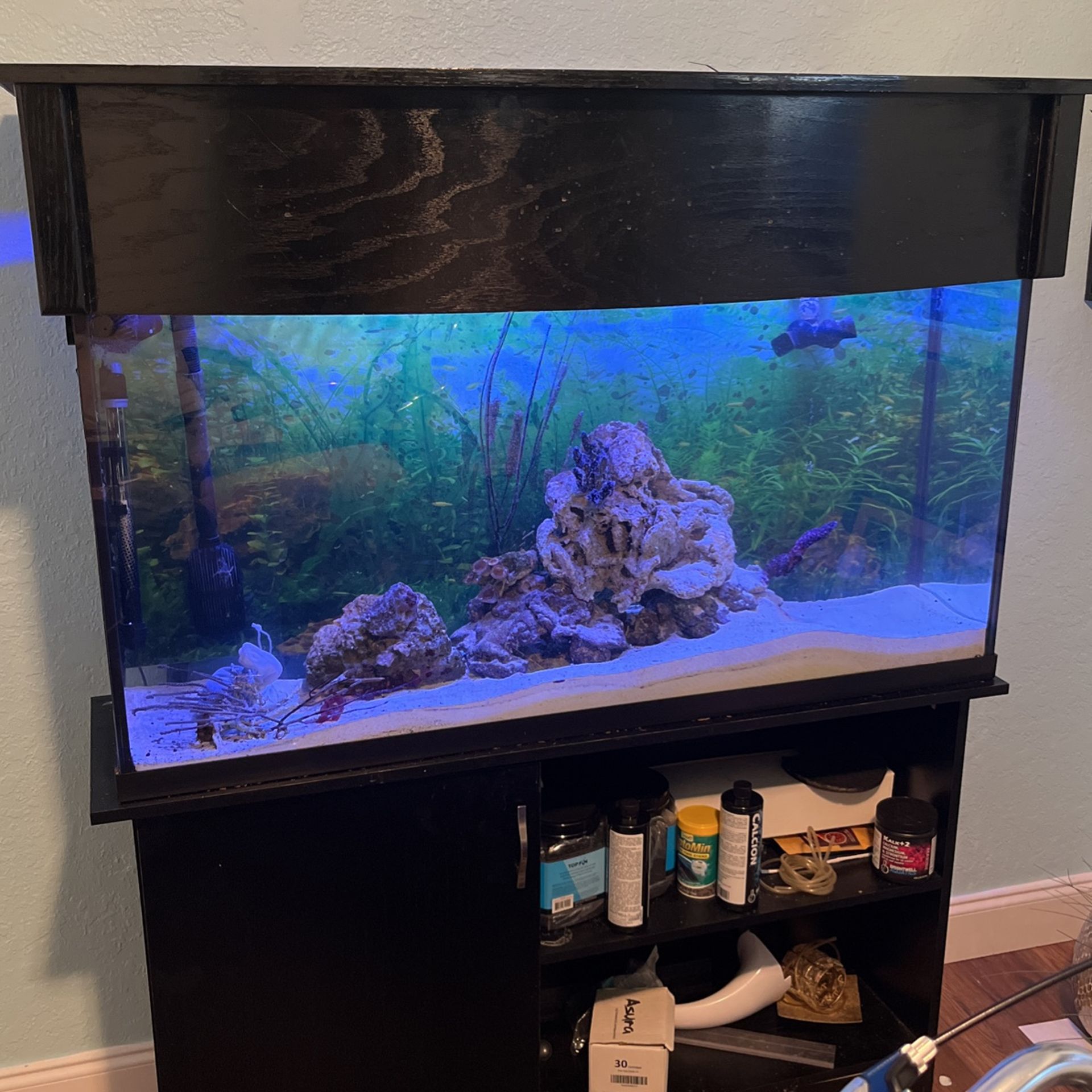 FX6 Canister Filter And 60 Gallon Fish Tank With Stand