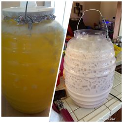 Order your Aguas Frescas for any event