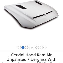 2018 Mustang Gt /ecoboost Cervini Hood