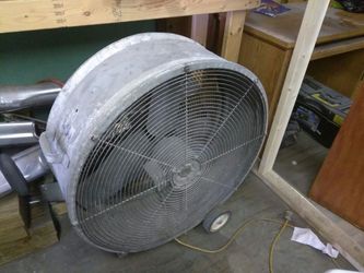 Fans