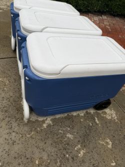 Igloo Coolers   4 For 100