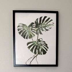 Framed Ikea Ribba Monstera Tropical Leaves Art Print Wall Decor