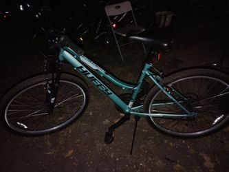 Lady's mountain bike 🚲