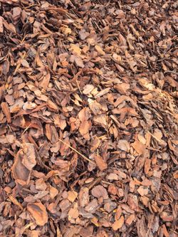 MINI PINE BARK YARDS