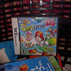 Nintendo DS 
