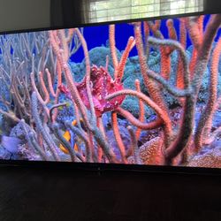 Sharp AQUOS 1080p HDTV