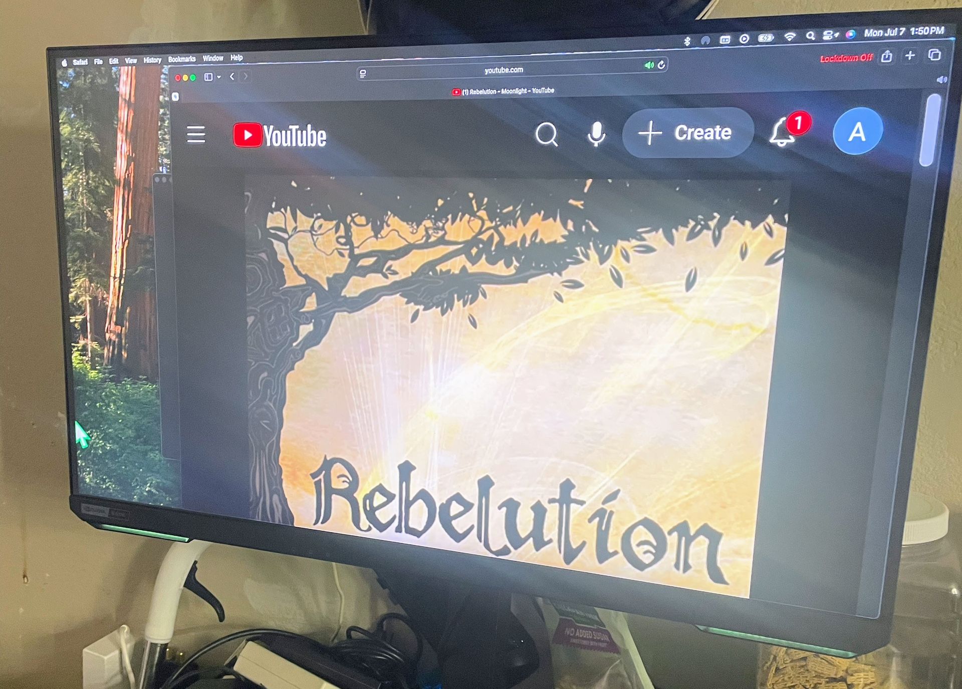 Gaming Monitor