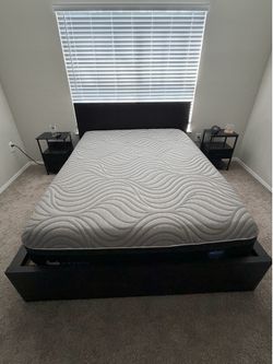 Queen Bedframe