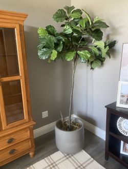Faux Fig Tree With Cement Pot M