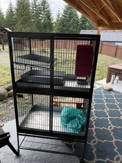 Critter Nation With Steel High Lip Trays