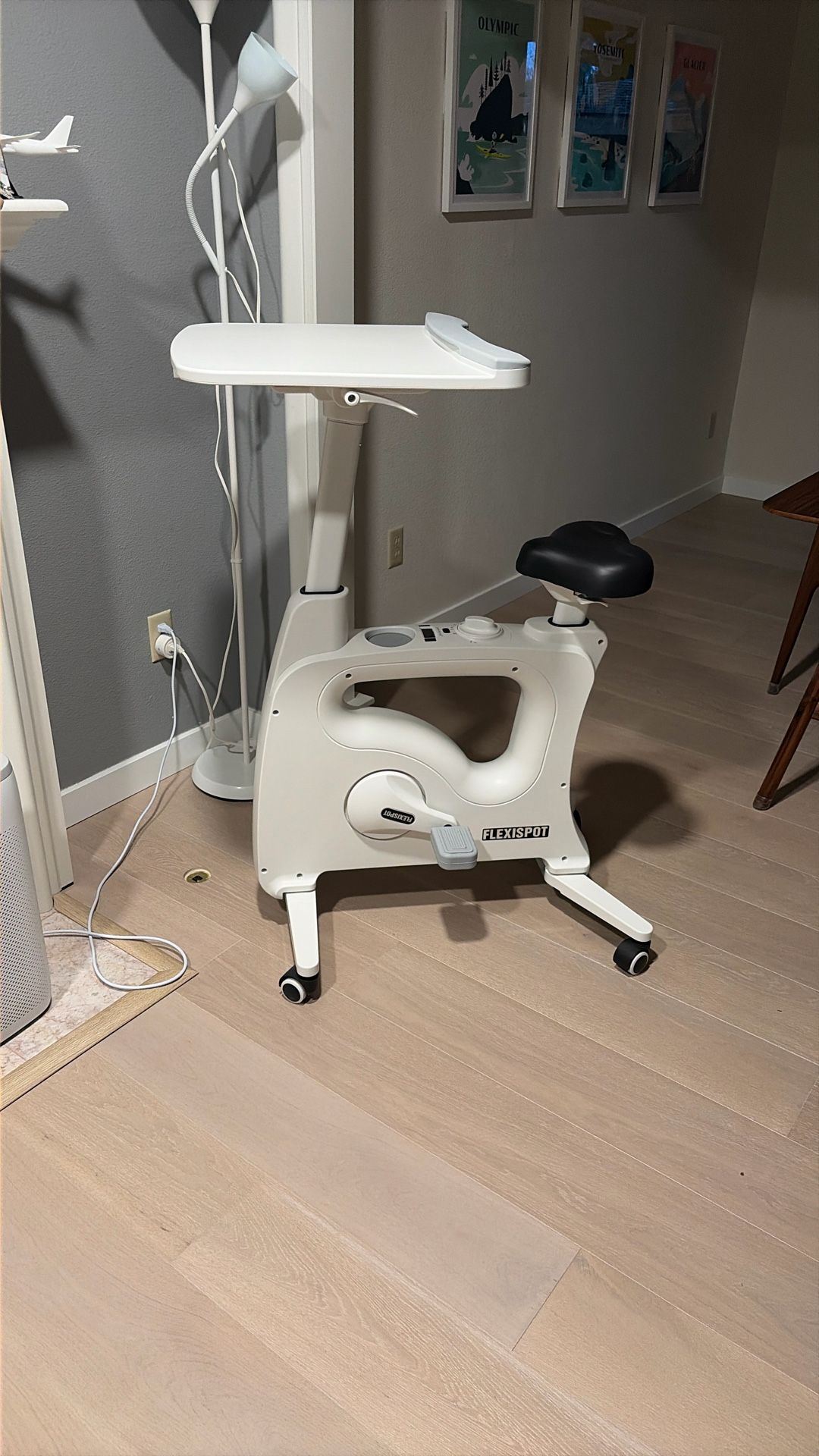 Flexispot bike work station